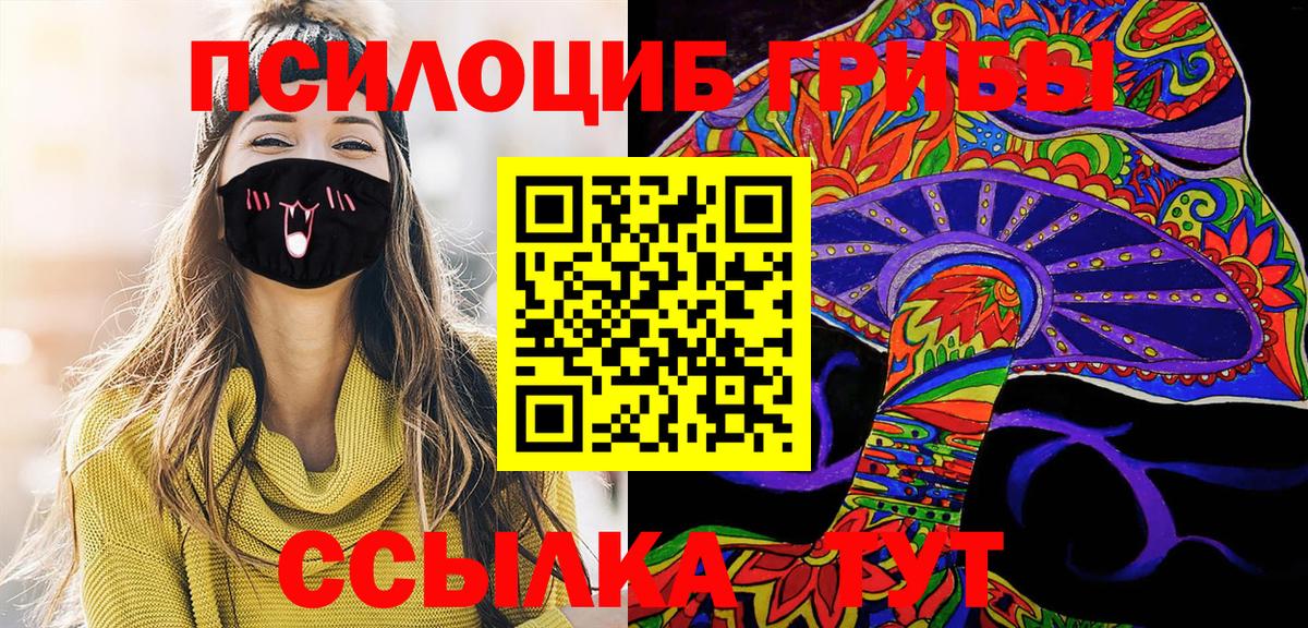 Псилоцибиновые грибы Psilocybe  Вход с VPN  дарнет шоп  Тобольск  Псилоцибиновые грибы Psilocybe 